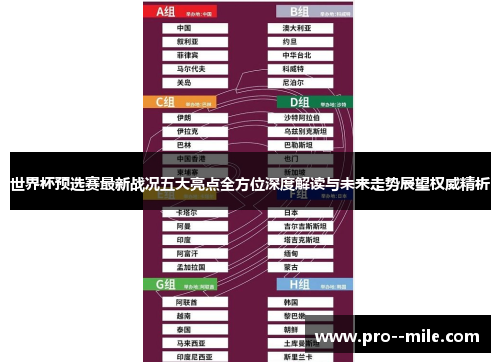 世界杯预选赛最新战况五大亮点全方位深度解读与未来走势展望权威精析