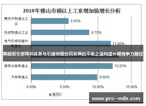 英超俱乐部青训体系与引援策略协同发展的平衡之道构建长期竞争力路径 英超俱乐部青训体系与引援策略协同发展的平衡之道构建长期竞争力路径