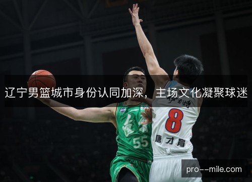 辽宁男篮城市身份认同加深，主场文化凝聚球迷